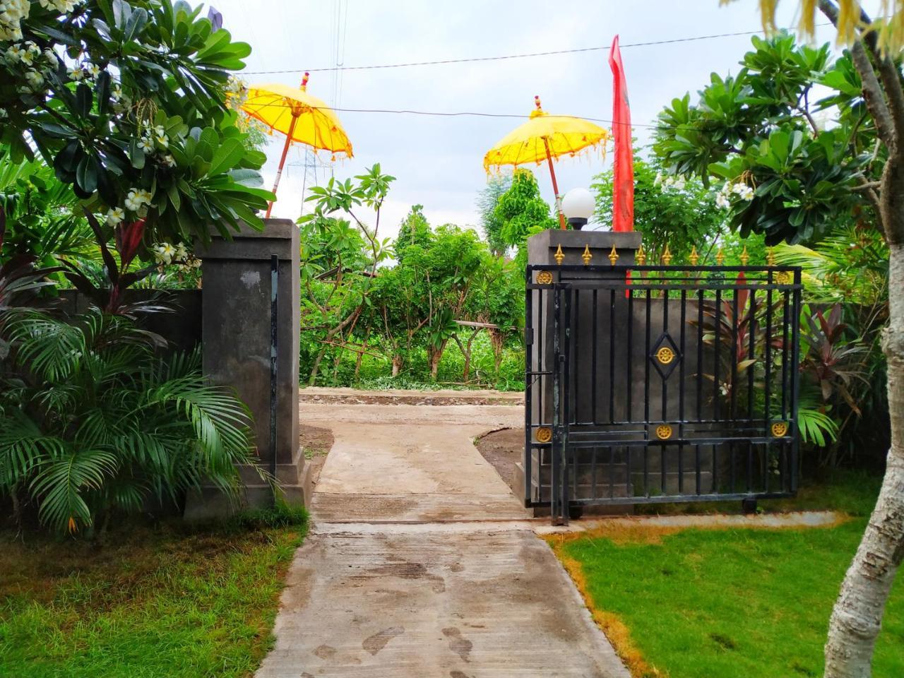Angga Guest House Pemuteran  Exterior photo